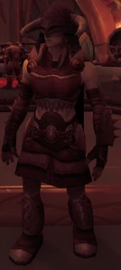 Image of Shieldmaiden