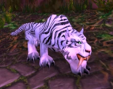 Night elf Cat