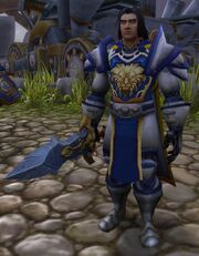 Sergeant Crowler in Stormwind City