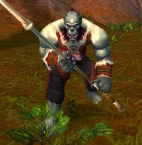 Image of Blackrock Tracker