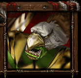 Wyvernriderportrait.gif