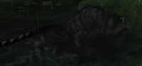 Image of Sha-Infested Prowler