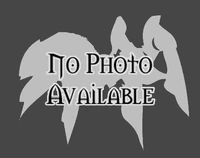 No image available