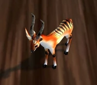 Image of Gazelle Fawn