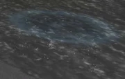 Lesser Oily Blackmouth School