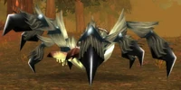 Image of Carrion Lurker