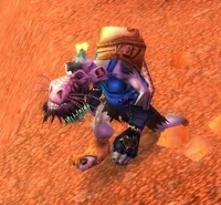 Image of Gravelsnout Forager