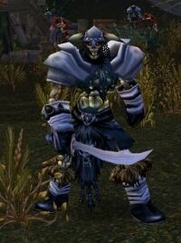 Image of Ravenclaw Raider