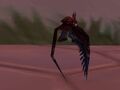 The Blood Parrot pet summoned by wearing the hat