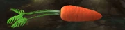 A stolen carrot