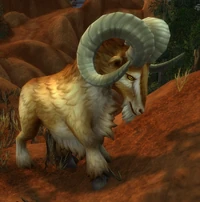 Image of Stonetalon Ram