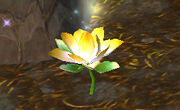 Golden Lotus