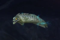 Image of Skittering Eel