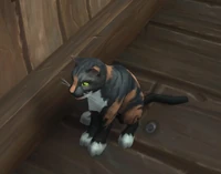 Image of Zach Purrner