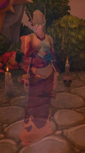 Image of Cheerful Blood Elf Spirit