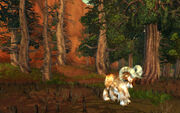 Stonetalon wildlife.jpg