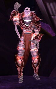 Image of Zaxxis Raider