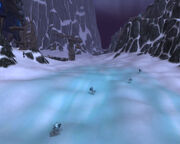 Snowdrift Plains