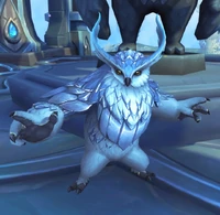 Image of Temple Tender