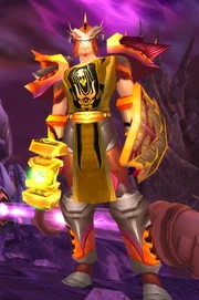 Tabard of the Defender