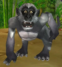 Image of Helpful Jungle Monkey