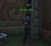 Rell in Dragonflight