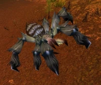 Image of Deepmoss Creeper