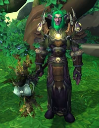 Kaldorei Researcher male