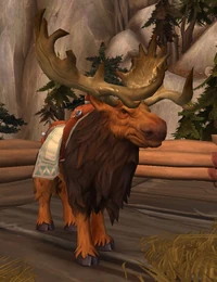 Image of Trained Mountainstrider