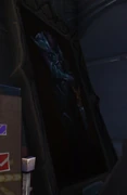 Night Elf Male
