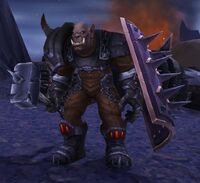 Image of Blackrock Warder
