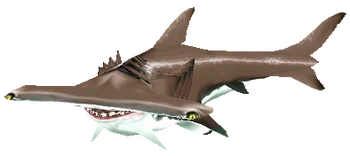Hammerhead Shark