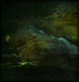Demon hunter