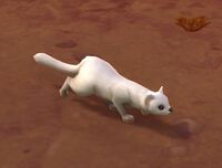 Image of Nala