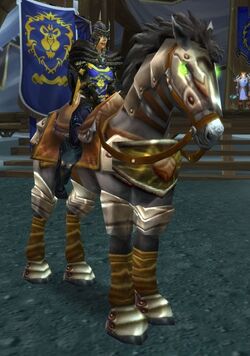 Dapple Gray  Warcraft Mounts