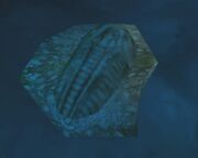 FlagongutsFossil.jpg