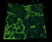 A Destiny of Flame and Sorrow Map.jpg