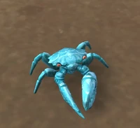 Image of Calcified Crab