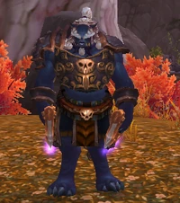 Image of Shao-Tien Surveyor