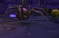 Image of Carrion Spinner