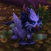 Image of Lost Feathermane Kitten