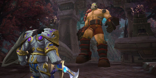 Paladin preview Protection
