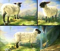 Sheep cinematic model.
