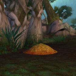 Soaked Fertile Dirt.jpg