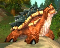 Image of Optimistic Benj