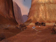 Windbreak Canyon, home to many serpents