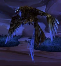 Image of Female Kaliri Hatchling