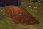 Freshly Dug Grave