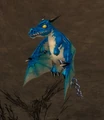 Fettered Blue Whelpling