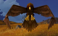 Image of Northwind Hawk